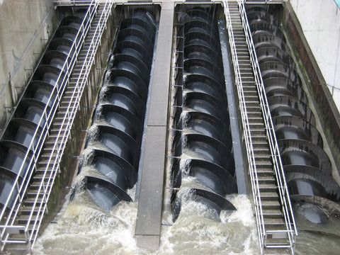 Water
